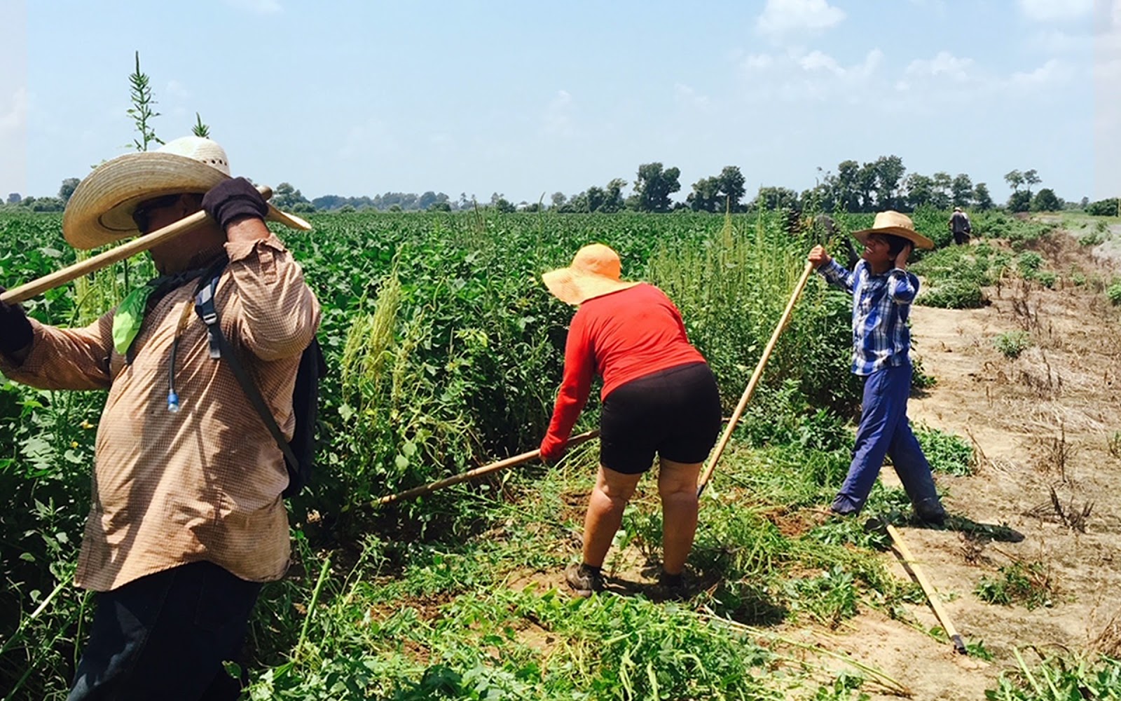 How St. Edward's University has uplifted migrant farmworker students ...